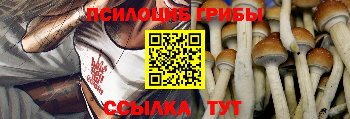 Галлюциногенные грибы Cubensis  где купить наркотик  Вход с VPN  Серов  Псилоцибиновые грибы MAGIC MUSHROOMS 